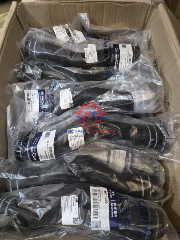 Phụ Tùng Ô Tô Bacnam Autoparts